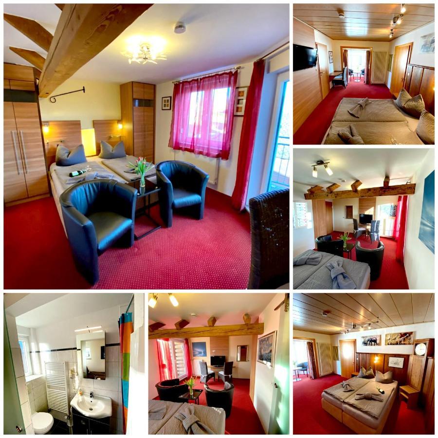 Bnb Fliegerhaeusle Hagnau 24H Self Check In Luaran gambar
